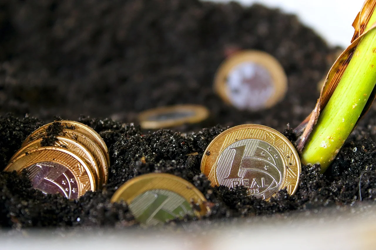 De ce este importantă educația financiară în formarea unui cetățean responsabil